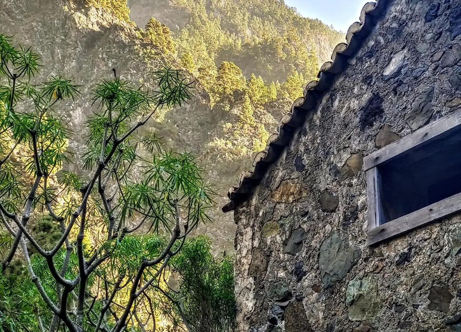 La Pura Vida Lägenhet Tazacorte